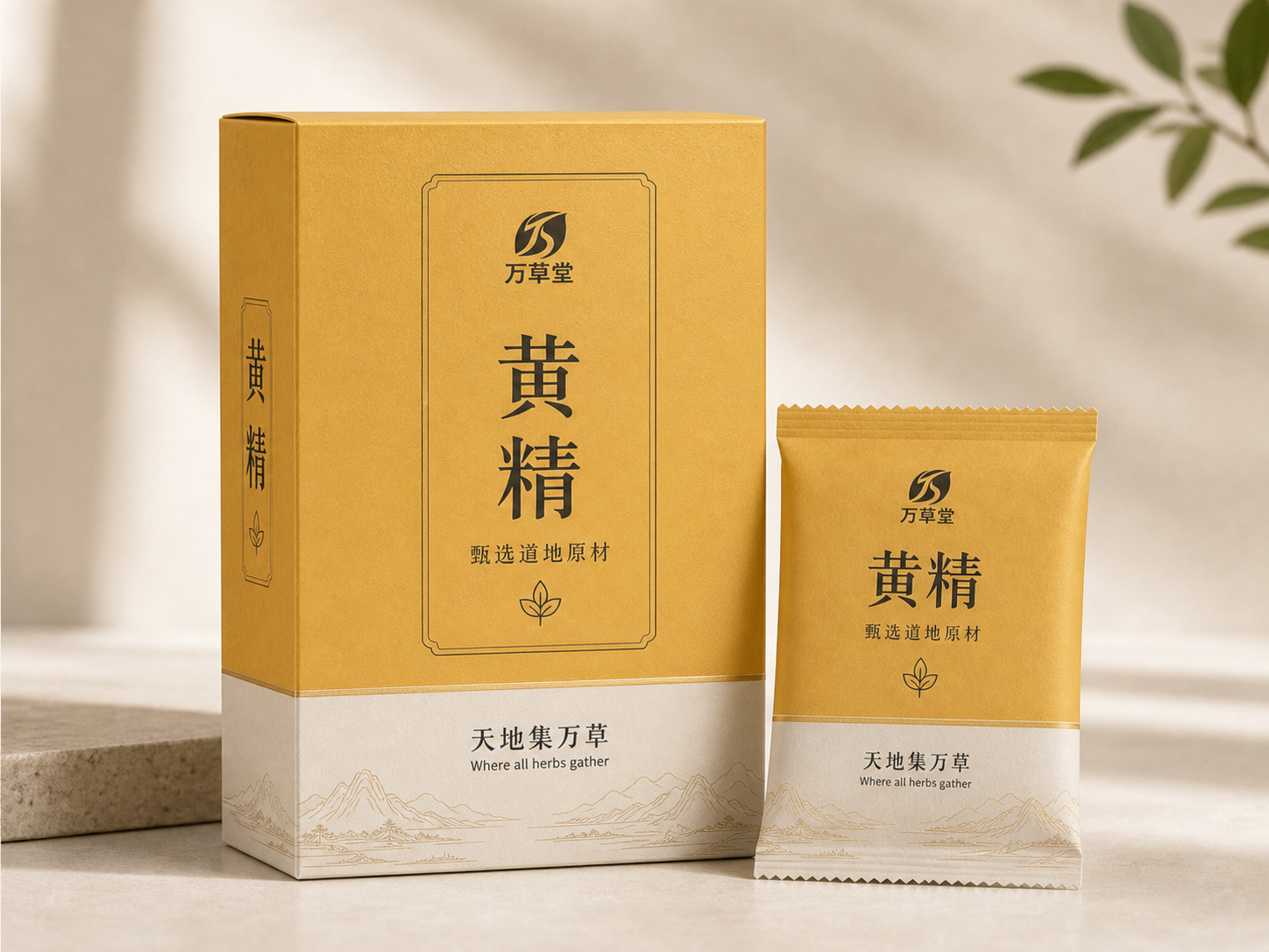 黄精礼盒